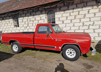 Dodge RAM Dodge Ram D100 Rocznik 1987 Silnik 318 V8 Klasyczny Pickup I (19…
