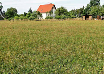 Oferta sprzedaży działki Letniki 4000m2