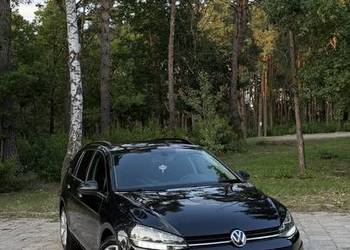 Volkswagen golf 7 1.6 TDI 2017r. Dsg