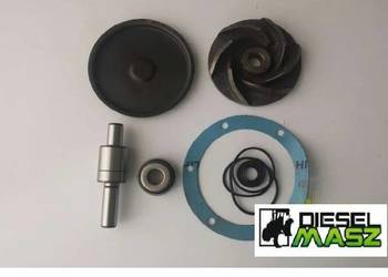 Zestaw Naprawczy Pompa Wody Massey Ferguson 399,3085,3120