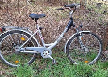 Rower Fischer. Do odnowienia lub na części.