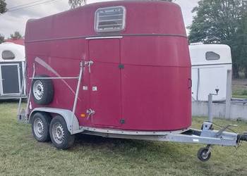 Przyczepa do przewozu koni