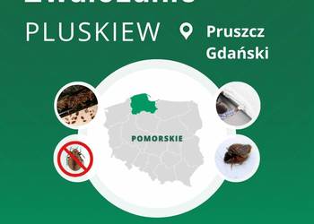 Zwalczanie pluskiew Pruszcz Gdański - Odpluskwianie, Dezynsekcja