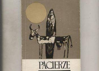 Pacierze - Remigiusz Napiórkowski