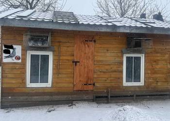 Sprzedam gołębnik