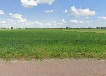 4,6 ha Gołaszew gm. Ożarów Mazowiecki