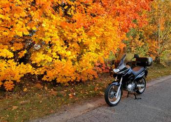 Suzuki XF 650 Freewind idealny