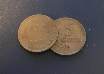 5 groszy rocznik 1949
