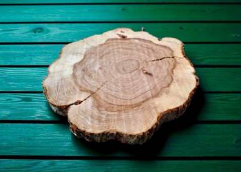 Plastry jesionowe po suszarni – po ploterze, gotowe do zalewania