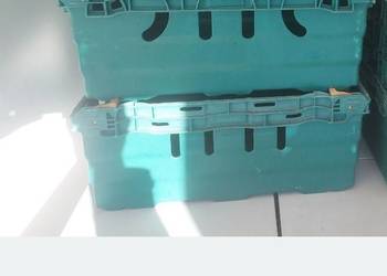 Skrzynki plastikowe