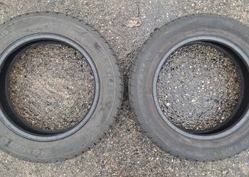 Opony zimowe Barum Polaris 3 165/65 R14