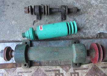 Wałek cyrkulatki krajzega