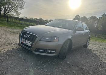 Audi a3 8P 1,9 TDI