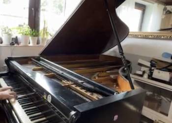 Fortepian Wiedeński - Sprawny grający lub zamiana
