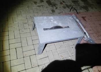 Piła Tarczowa Alko 230v 1800 w