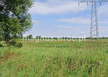 Działka rolna w sercu Wrocławia, nad Widawą - Kowale!