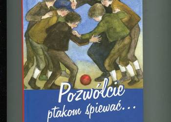 Pozwólcie ptakom śpiewać... Opowiadania o Księdzu Bosko