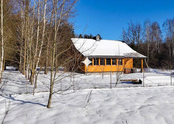 Urokliwy dom z działką przy lesie!