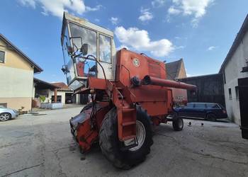 Bizon Zo56 z hederem
