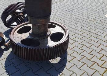 Koła zębate przekładni WT 1250 Koło zębate reduktor WD