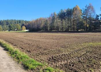 2 działki budowlane w Donimierzu k. Szemuda