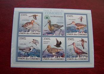 Komory 2009 MNH Fauna Ptaki Bekasy