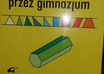 z Pitagorasem przez gimnazjum 1 zbiór matematyka antykwariat