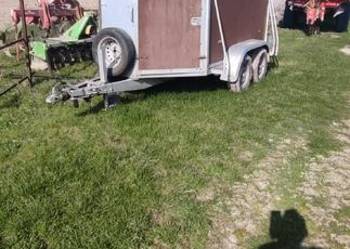 Przyczepa do przewozu zwierząt, koni.