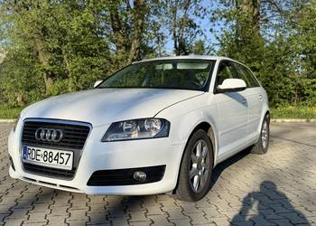 Audi A3 8P | 2010 | 1.6 TDI | 262 000 km