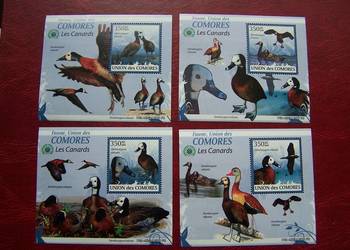 Komory 2009 MNH Fauna Ptaki Kaczki  Nakład 2500 szt