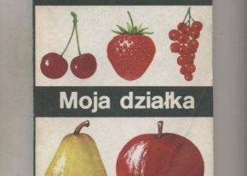 ABC sadownictwa Moja działka