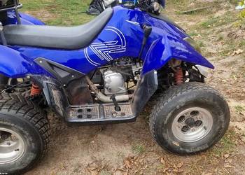 Quad  keeway dragon 250