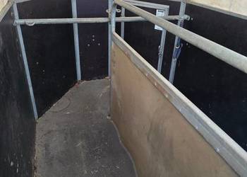 Boeckmann do koni przyczepa