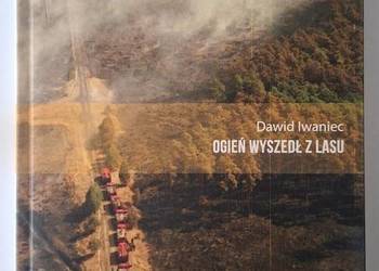 Ogień wyszedł z lasu - Dawid Iwaniec