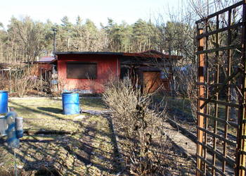 Sprzedam działkę ROD "Zalesie-1" Starachowice o pow. 304m2