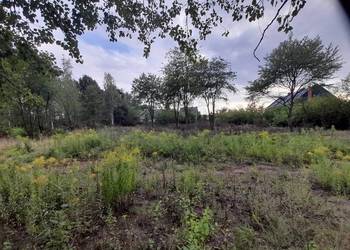 Sprzedam działki budowlane 980m2 i / lub 670m2