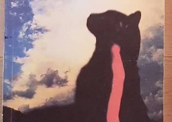 Zatoka Umarłych, Catherine Arley, kryminał, sensacja, thrill