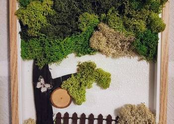 Obrazy z mchu. Tryptyk z naturalnego chrobotka. Idealny na prezent.