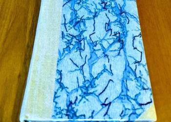 Morze : środowisko, życie, zasoby Kazimierz Demel