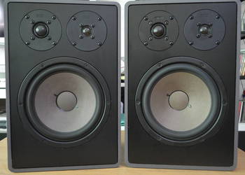 Fenomenalne CANTON FONUM 100 Perfekcyjne Hi-Fi Wysyłka