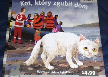 Kot, który zgubił dom - Ewa Nowak