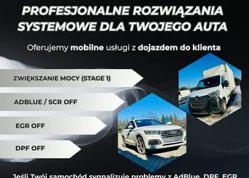 Usuwanie naprawa Adblue EGR DPF osobowe i dostawcze | Mobilnie MAŁOPOLSKIE