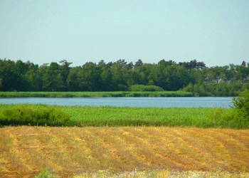 Działka budowlana Gleźnowo