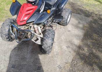 Quad Bashan 150