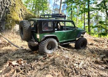 RC Trial Axial SCX10 Jeep Wrangler Rubicon 1/10 Schwarzenegger