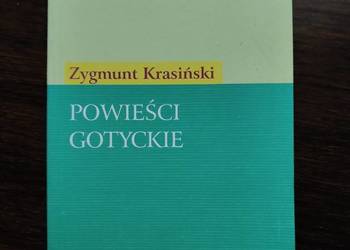 Powieści gotyckie- Zygmunt Krasiński Klasyka mniej znana