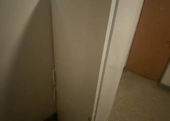 Lodówka marki Amica, model FK2328 PW+06AW