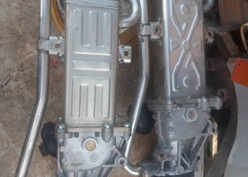 Zawór EGR, chłodnica Golf, Passat