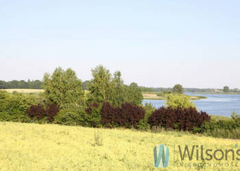 Ogłoszenie działka Nowa Chełmża 43000m2