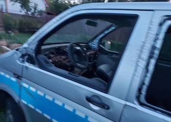VW T6.  2.0 TSI.  2016r